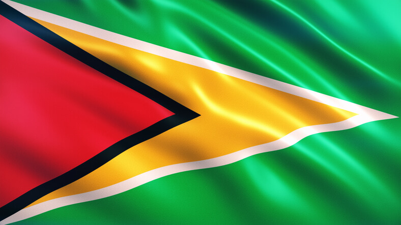 GUYANA Flag